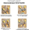 Массажное кресло Sport&Fitness SFBRMC20 до 150 кг 20 программ