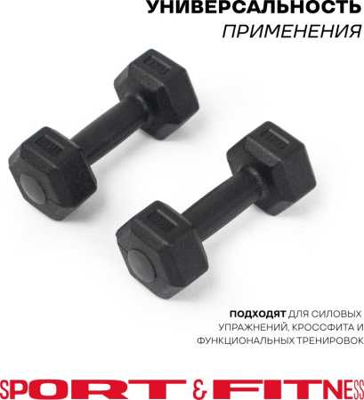 Гантель Sport&Fitness неразборная 2 кг
