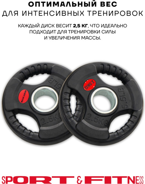Диск Sport&Fitness SFBRD0012-2 2.5 кг