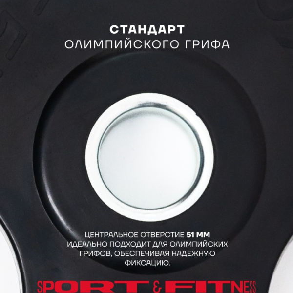 Диск Sport&Fitness SFBRD0012-2 15 кг