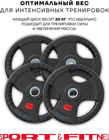 Диск Sport&Fitness SFBRD0012-4 20 кг